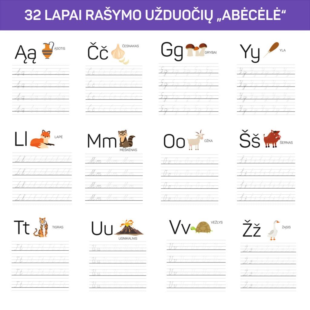 RAIDES