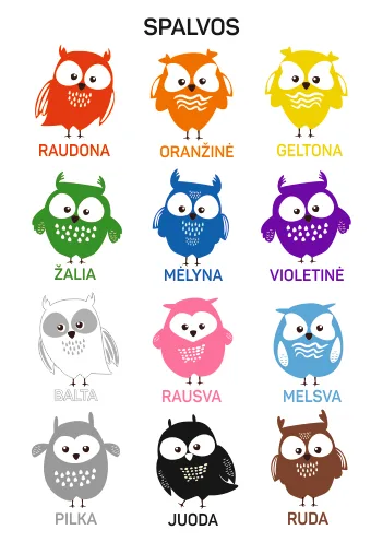Spalvos pelėdos