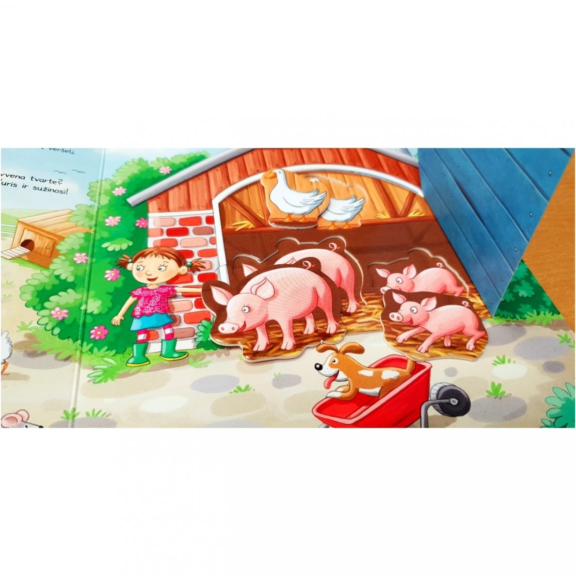 viesnage ukyje atverk ir suzinosi su atvarteliais ir delionemis 4 1